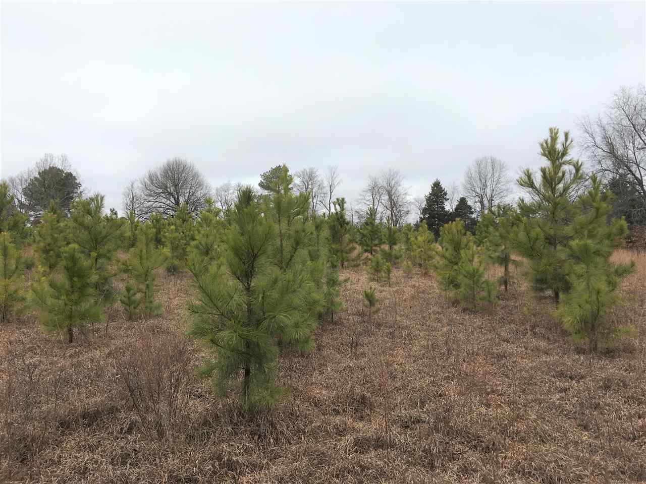 4493 N Heber Springs  Ida, AR