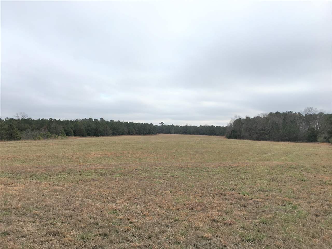 4493 N Heber Springs  Ida, AR