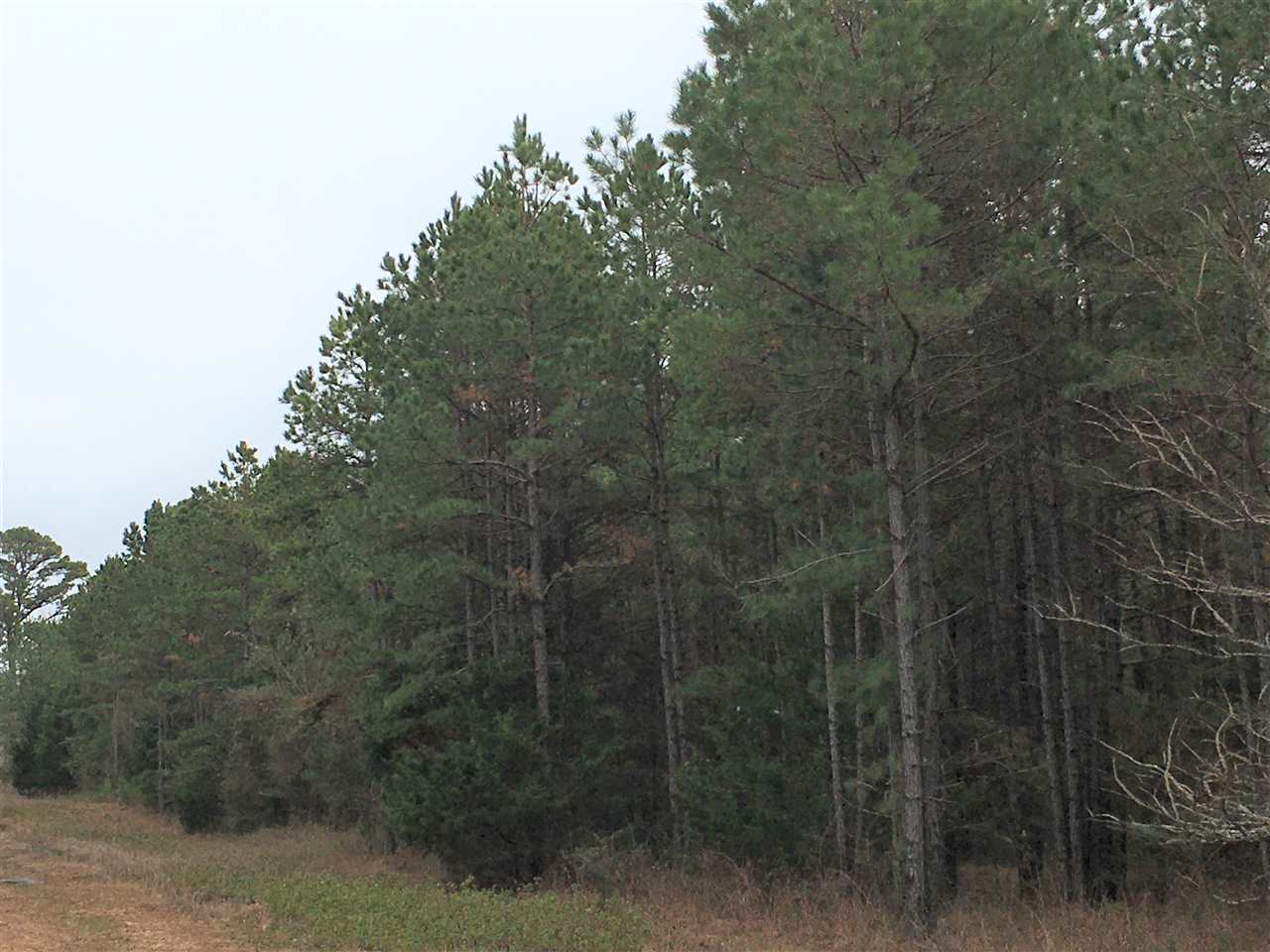 4493 N Heber Springs  Ida, AR