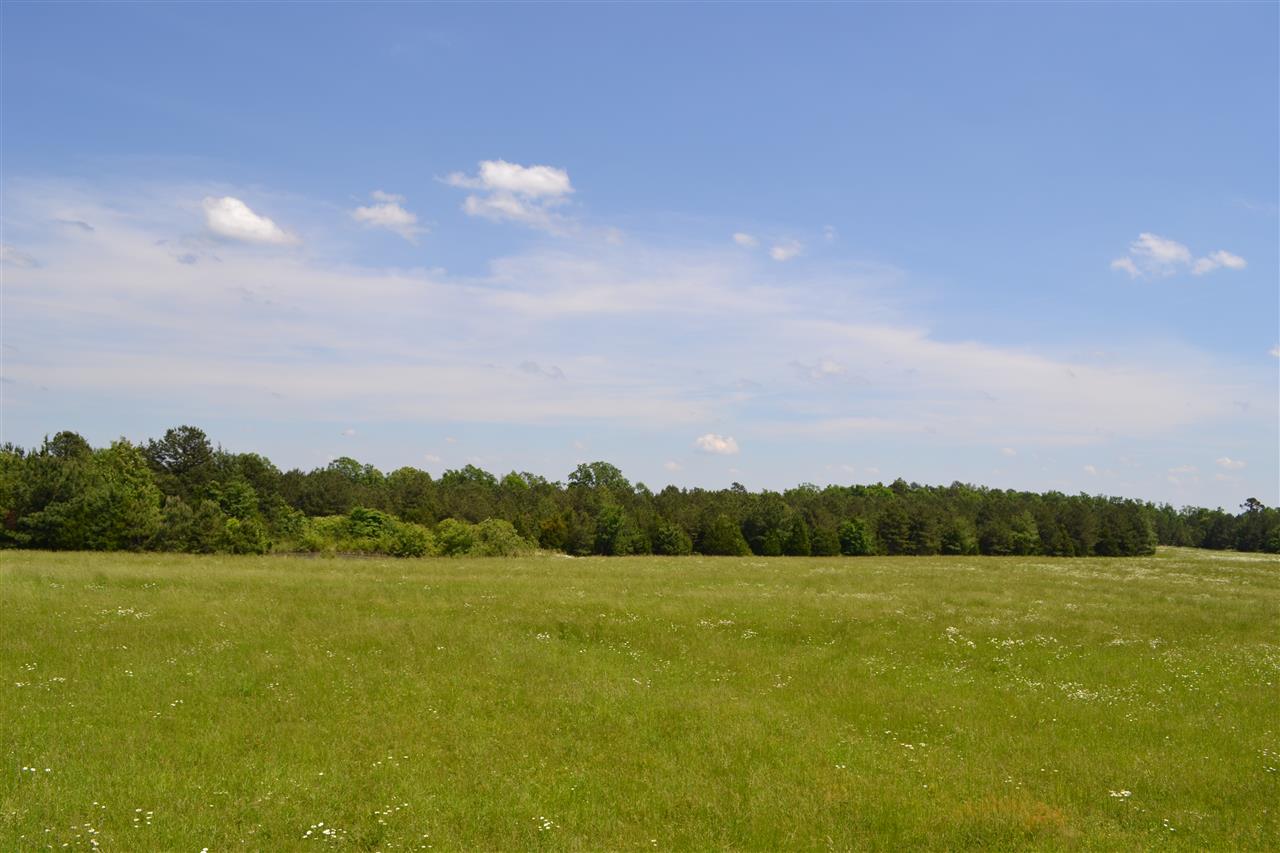 4493 N Heber Springs  Ida, AR