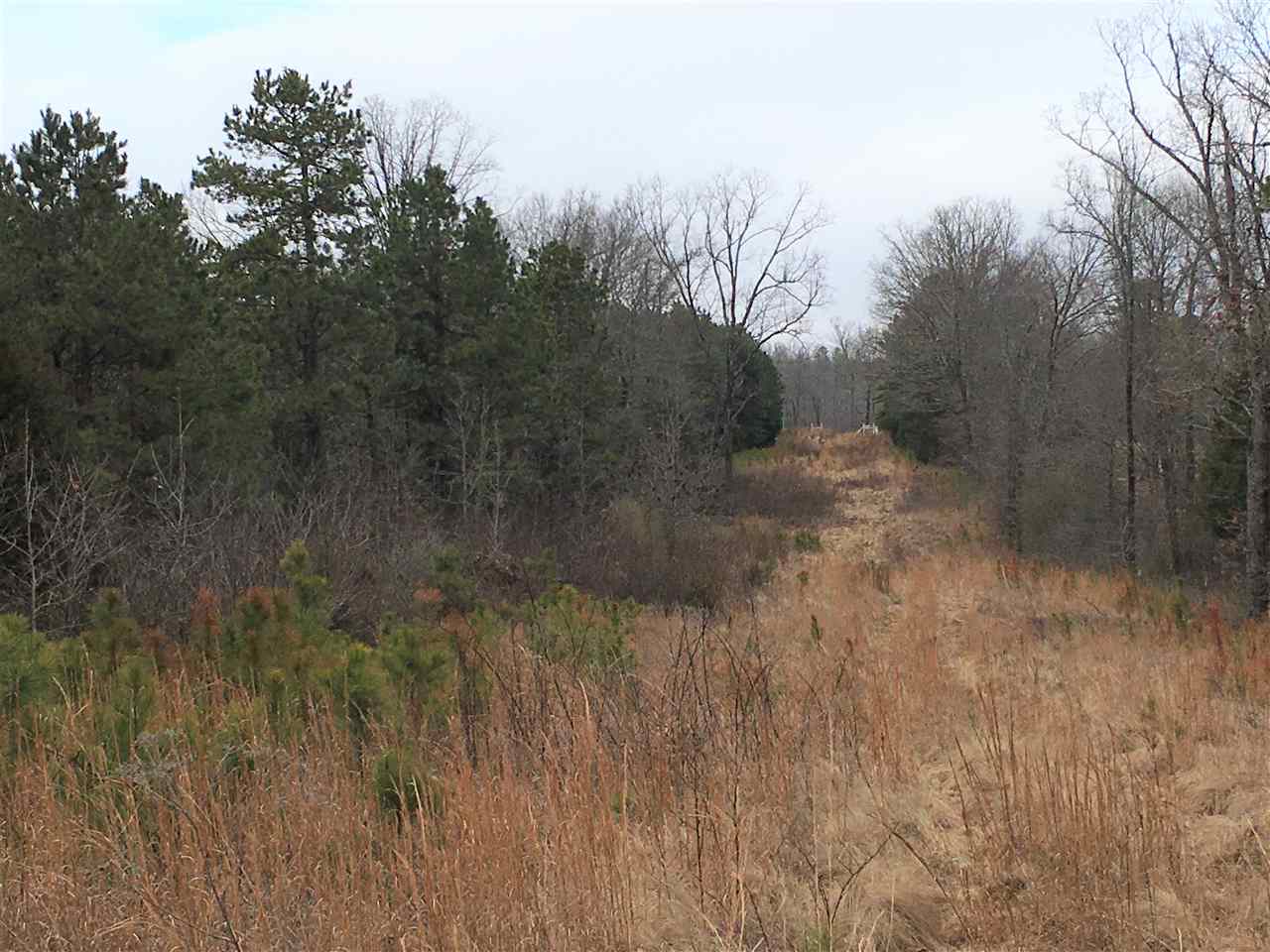 4493 N Heber Springs  Ida, AR