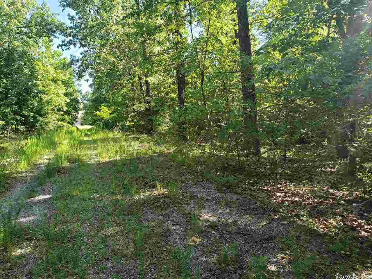 L-67, B-5  Chautauqua  Cherokee Village, AR