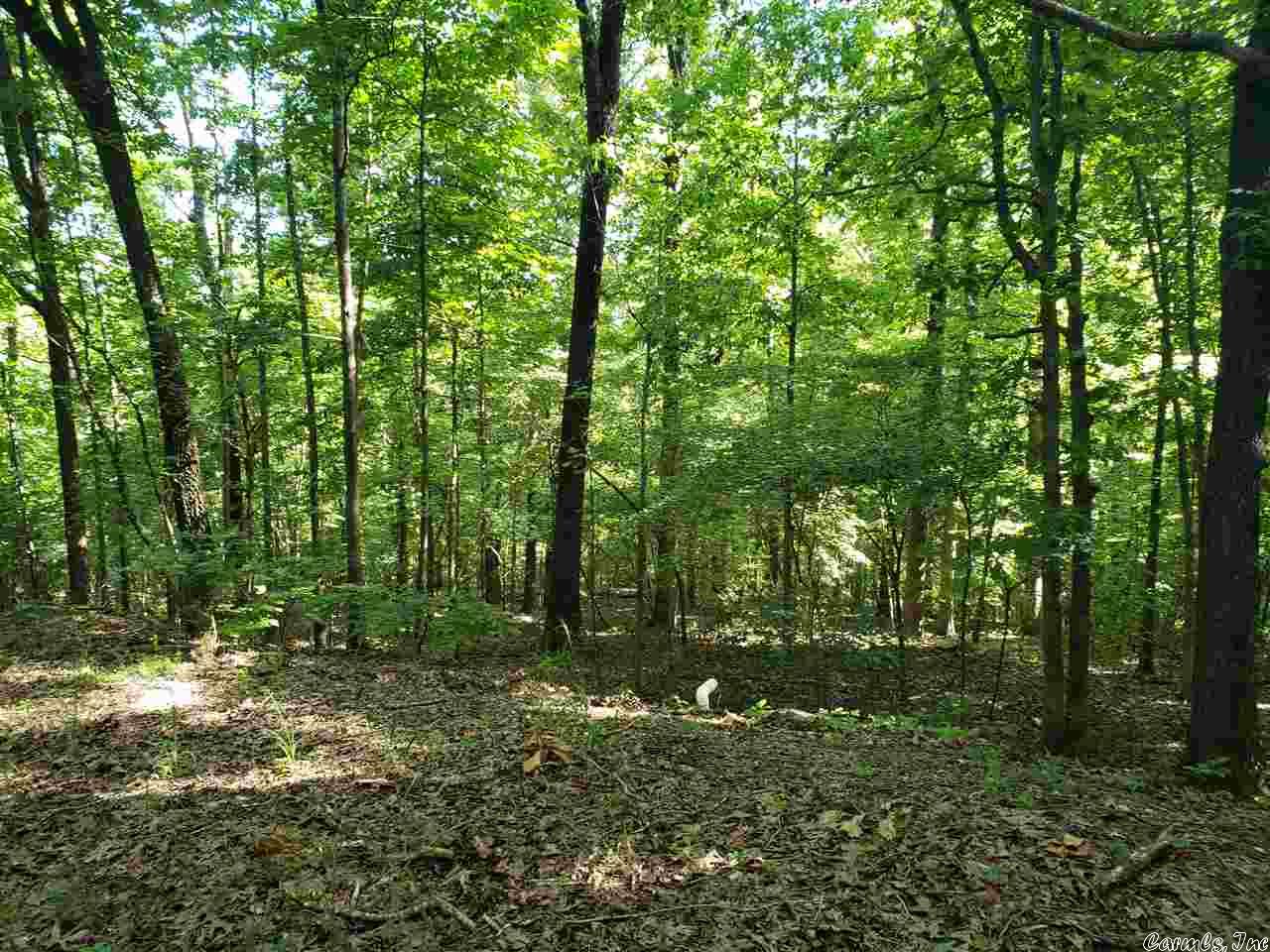 L-67, B-5  Chautauqua  Cherokee Village, AR