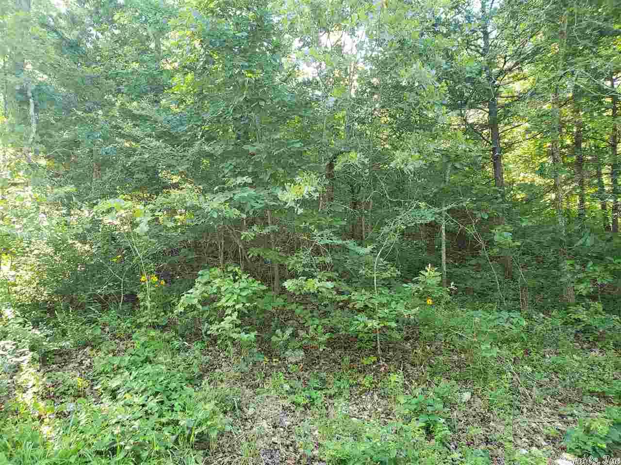 L-67, B-5  Chautauqua  Cherokee Village, AR