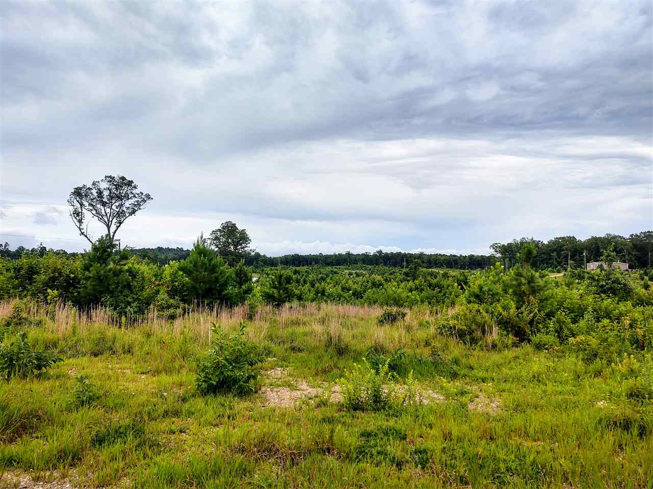 Lot 21  Elk Meadows  Hot Springs, AR