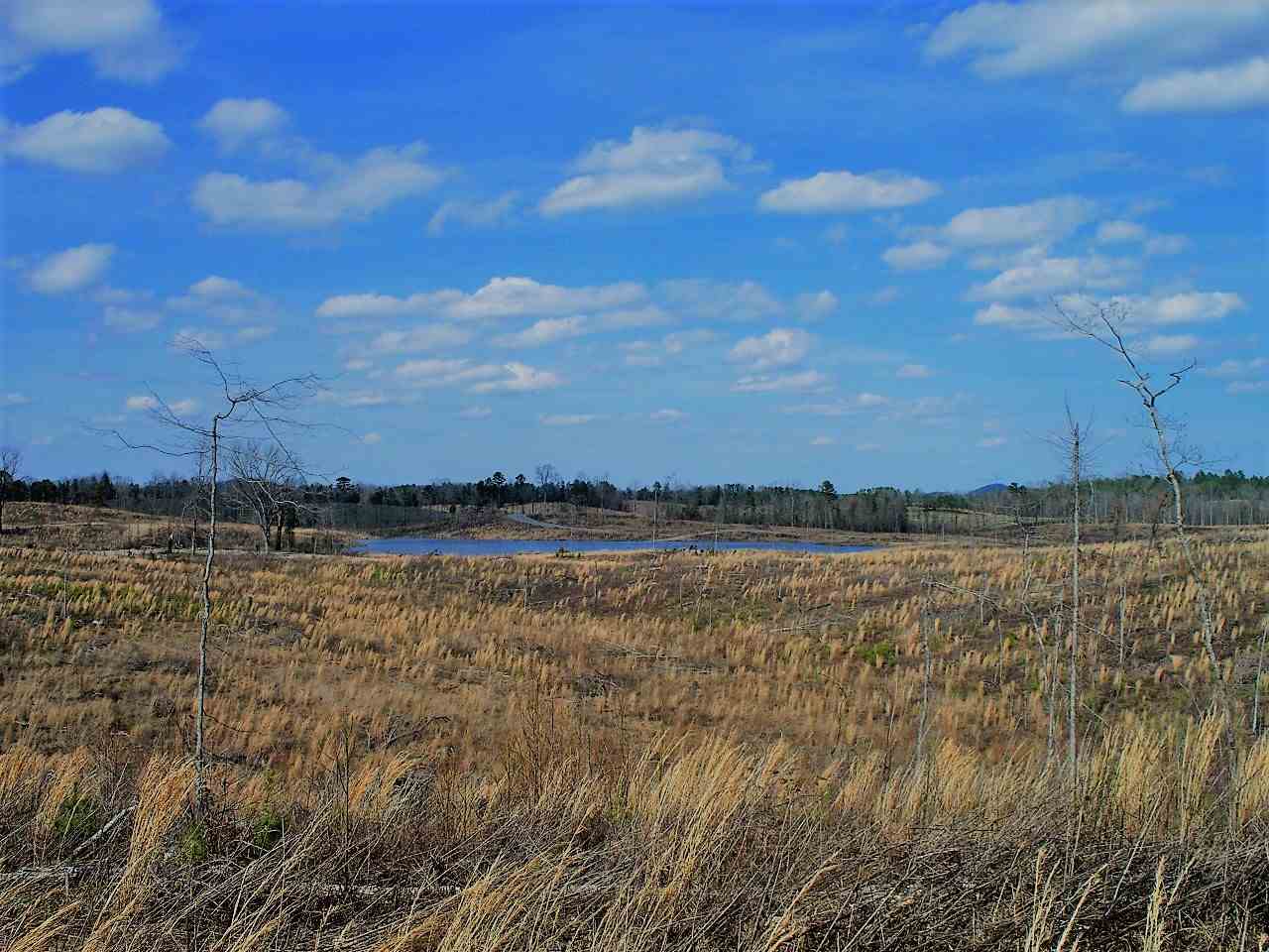 Lot 21  Elk Meadows  Hot Springs, AR