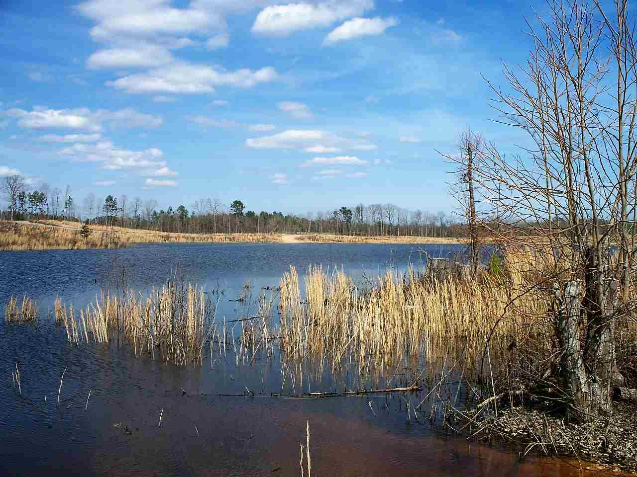 Lot 21  Elk Meadows  Hot Springs, AR