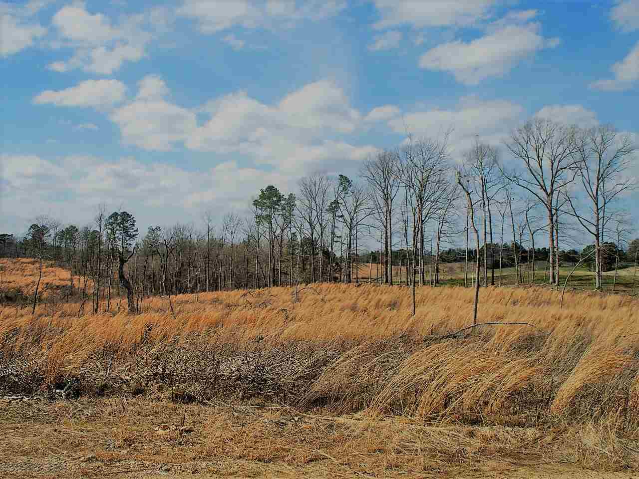Lot 21  Elk Meadows  Hot Springs, AR