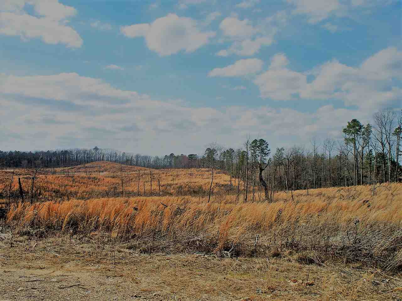 Lot 21  Elk Meadows  Hot Springs, AR