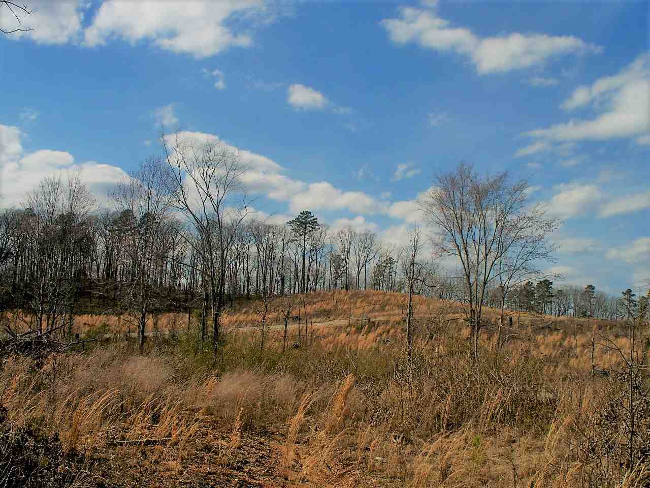 Lot 21  Elk Meadows  Hot Springs, AR