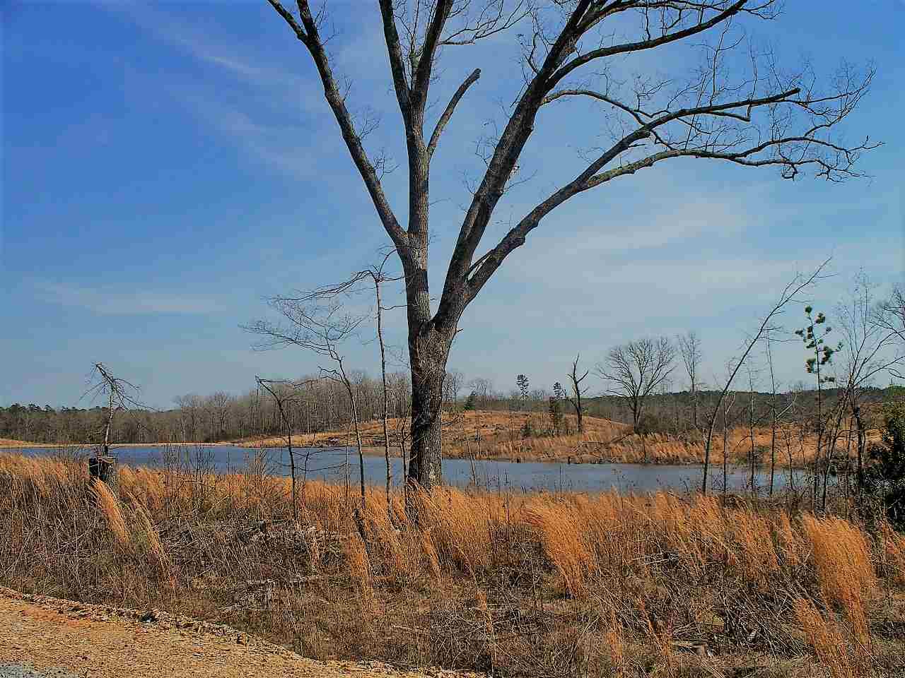 Lot 21  Elk Meadows  Hot Springs, AR
