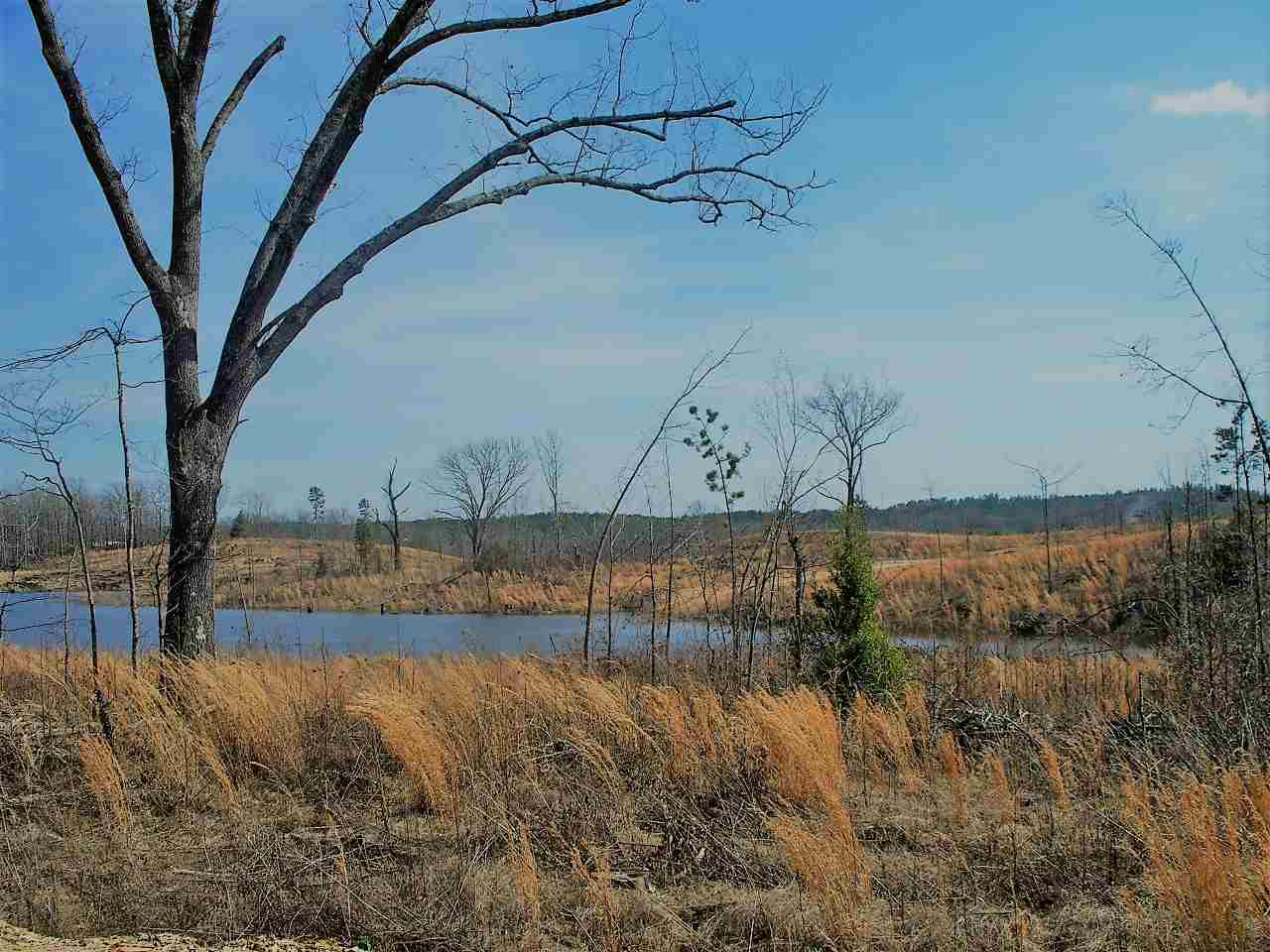 Lot 21  Elk Meadows  Hot Springs, AR