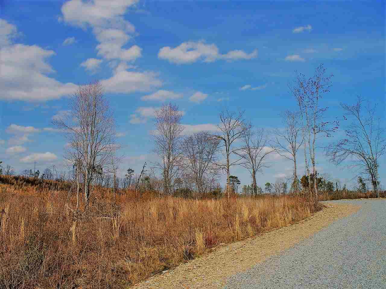 Lot 21  Elk Meadows  Hot Springs, AR