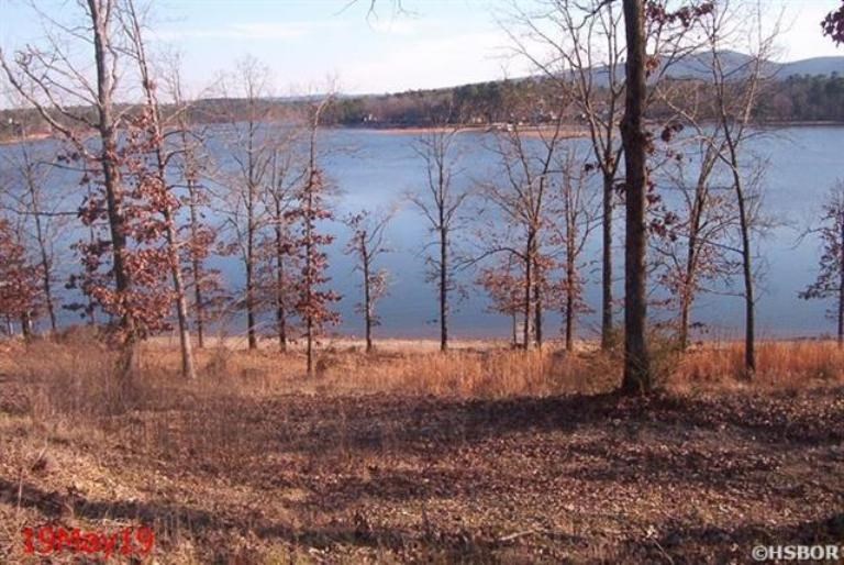 119  Bluebird Lane  Hot Springs, AR