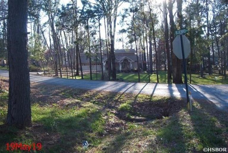 119  Bluebird Lane  Hot Springs, AR