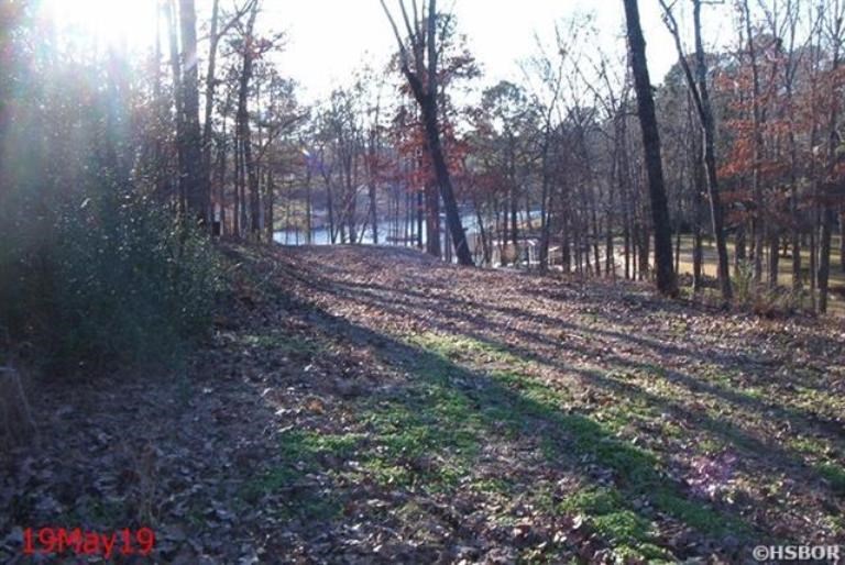 119  Bluebird Lane  Hot Springs, AR