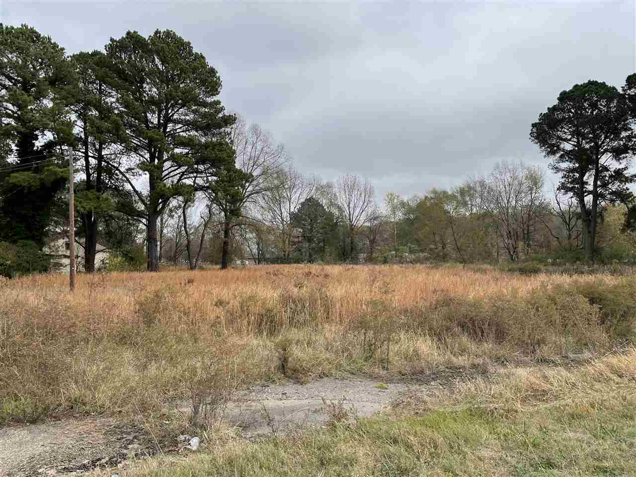 3637  Hwy 367 south  Searcy, AR