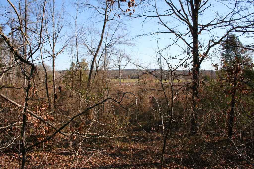 3765  Donnell Ridge  Conway, AR