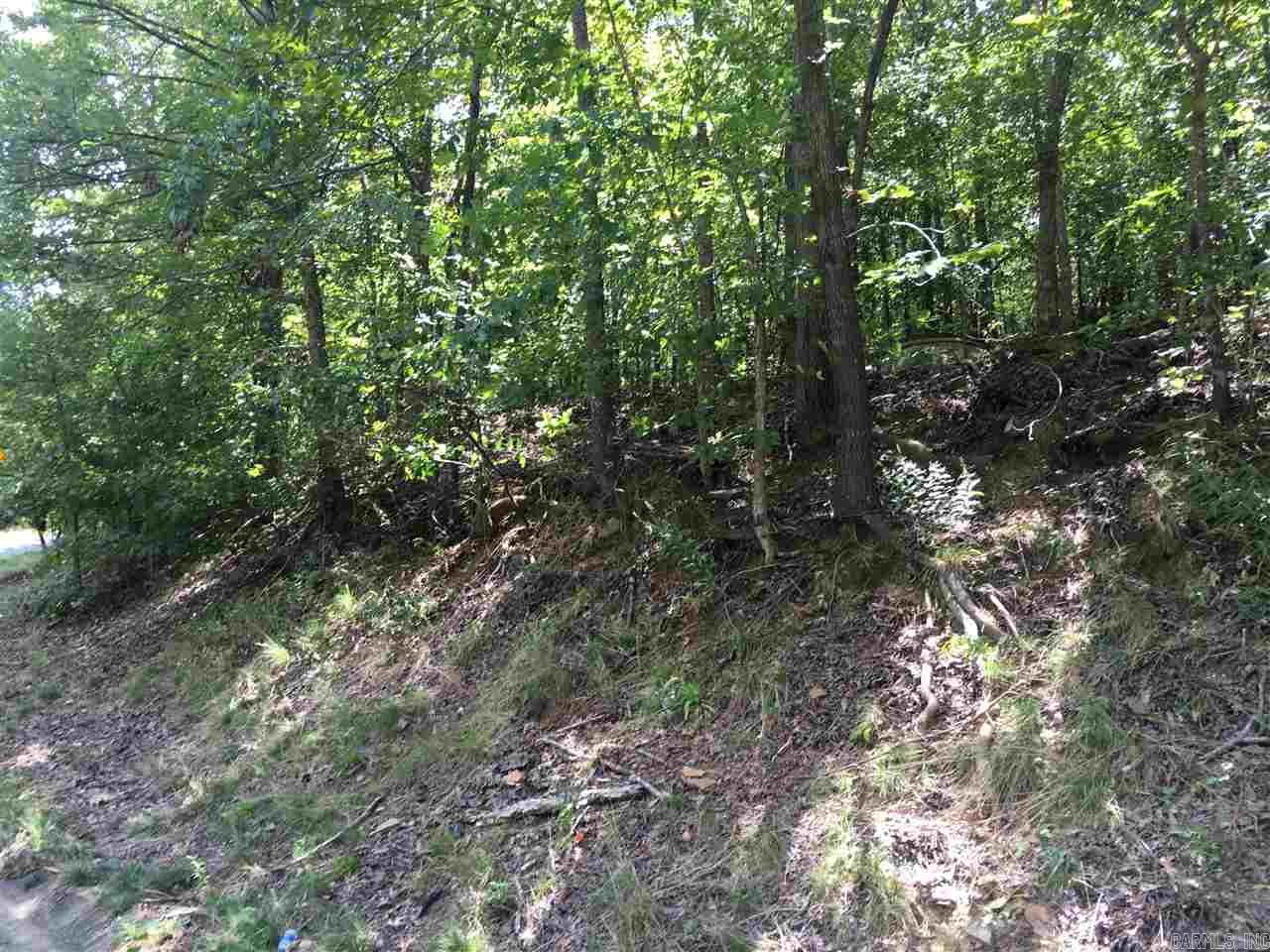 Lot 82  Foxboro  North Little Rock, AR