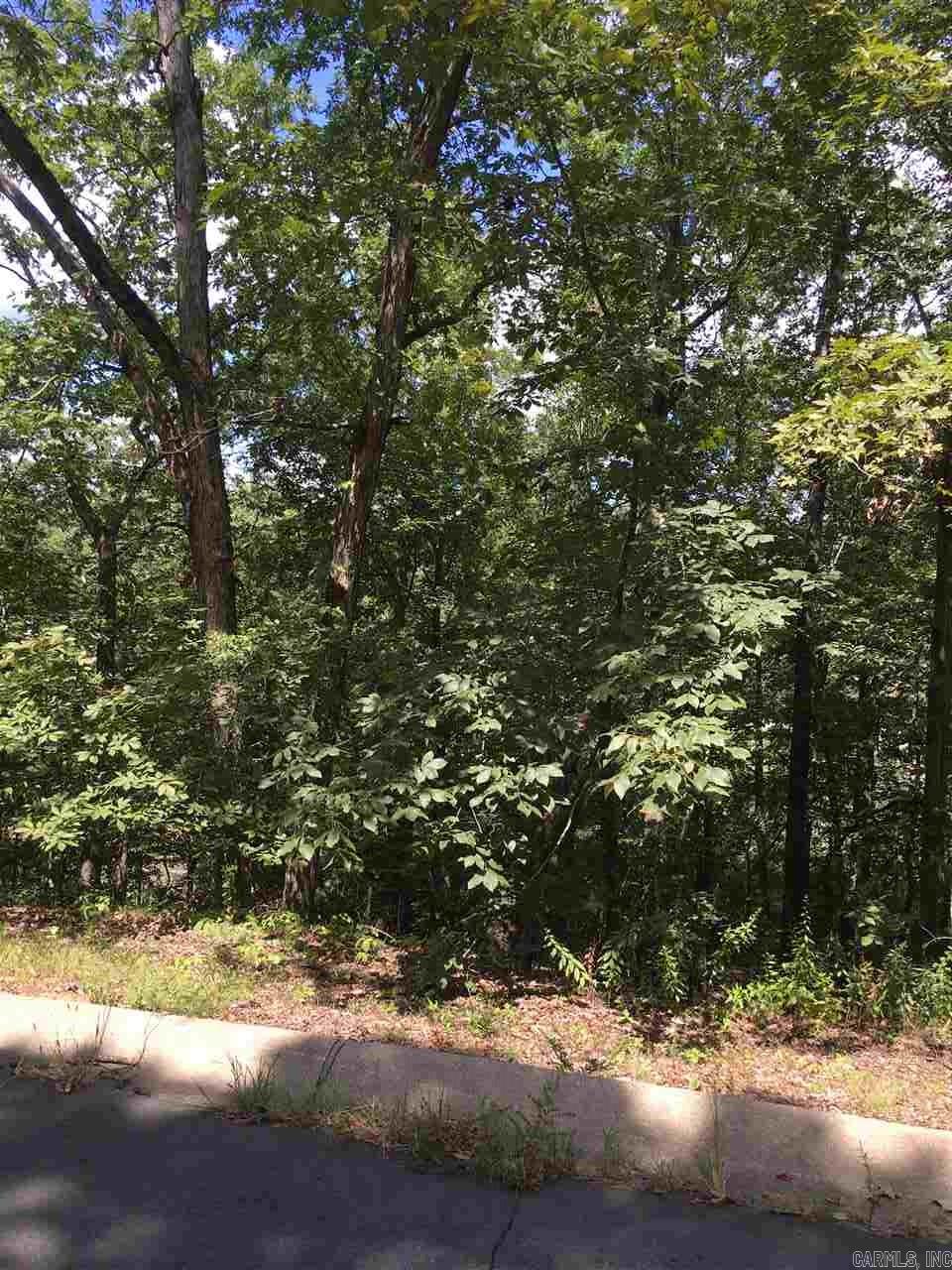 Lot 84  Foxboro  North Little Rock, AR