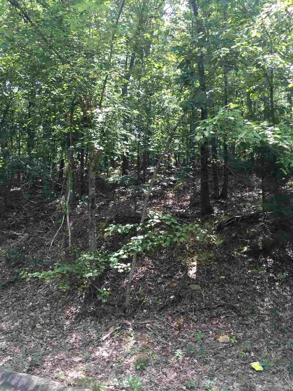 Lot 85  Foxboro  North Little Rock, AR