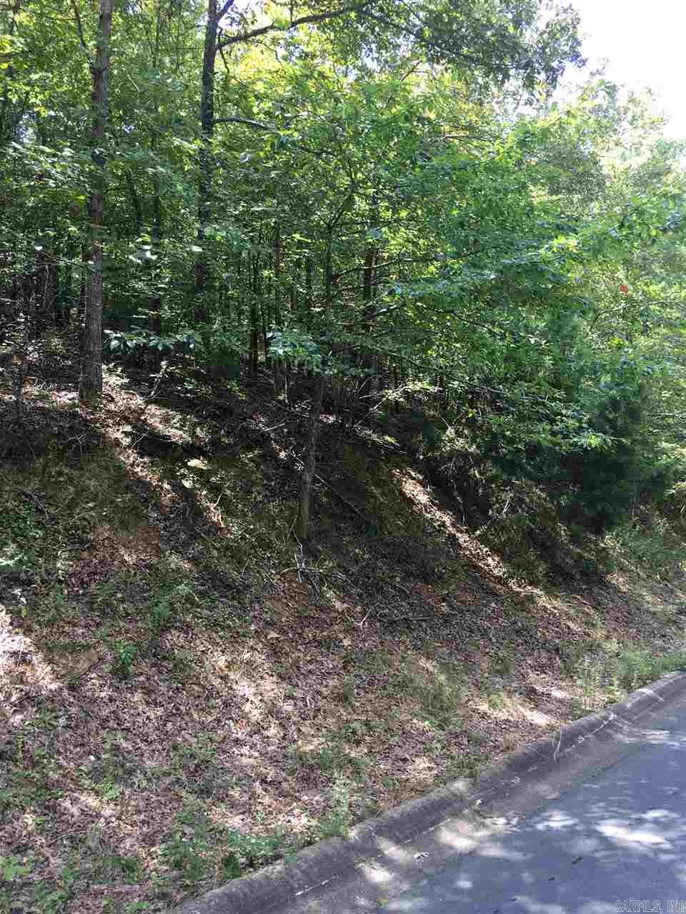 Lot 85  Foxboro  North Little Rock, AR