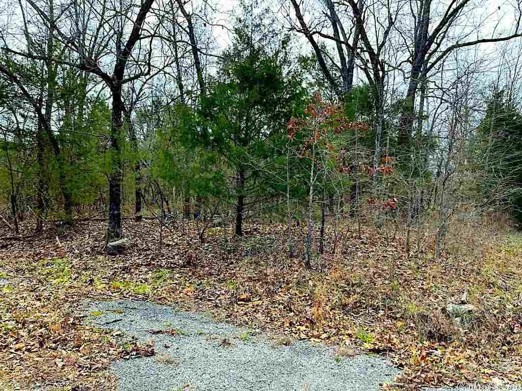 1101  Madison  Horseshoe Bend, AR