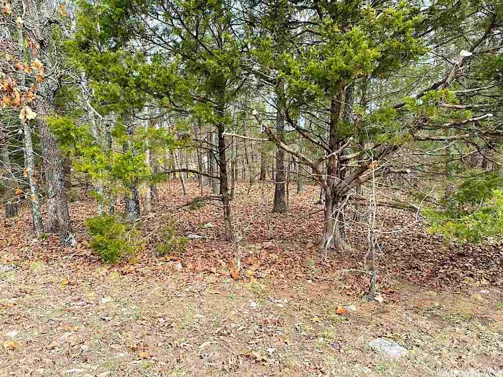 1101  Madison  Horseshoe Bend, AR