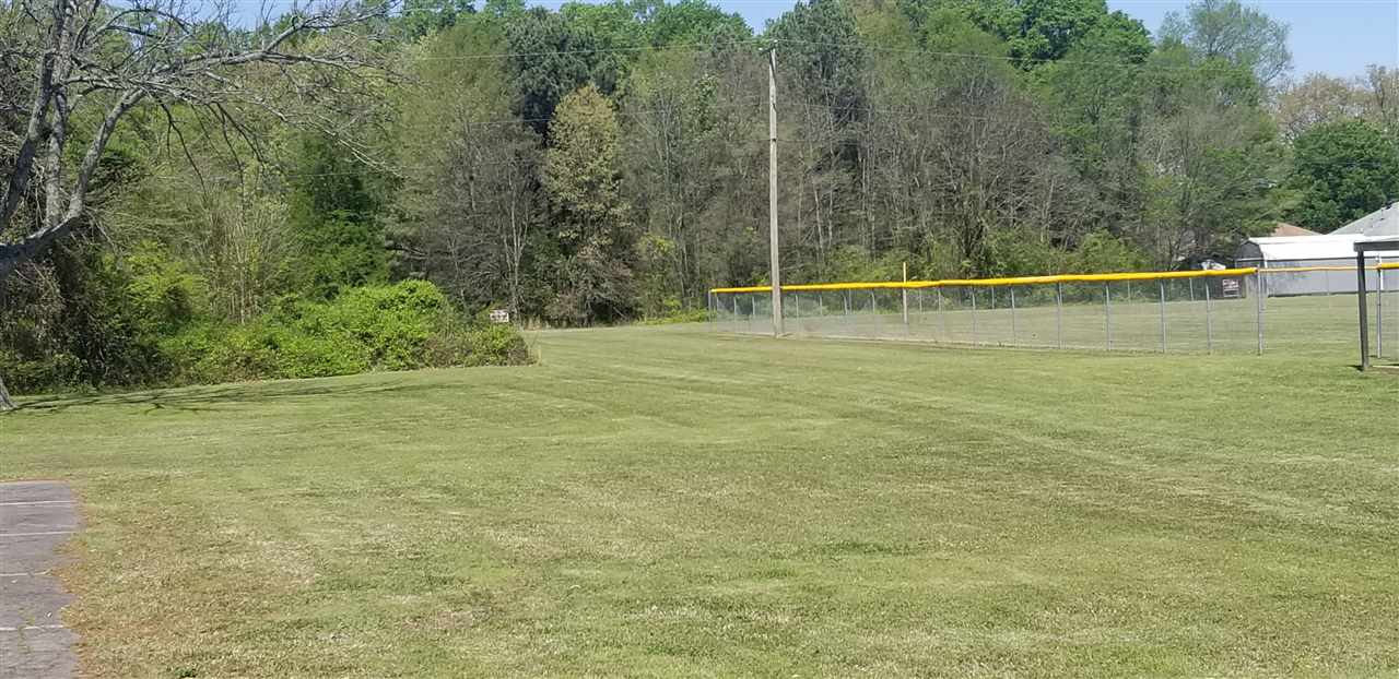 24 Lots  Hays ADD  Conway, AR