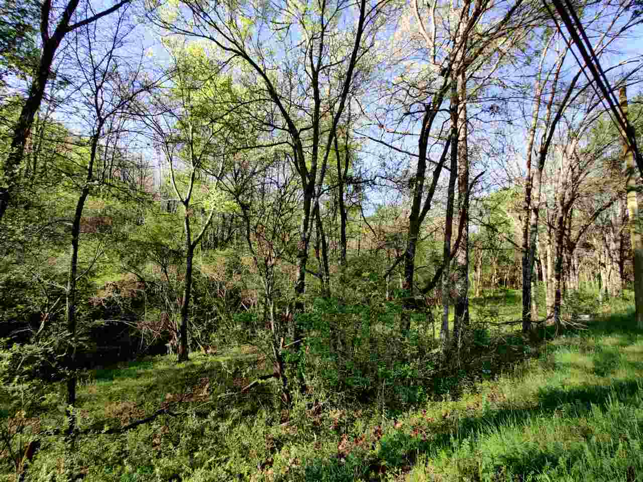 28xx  Malvern  Hot Springs, AR