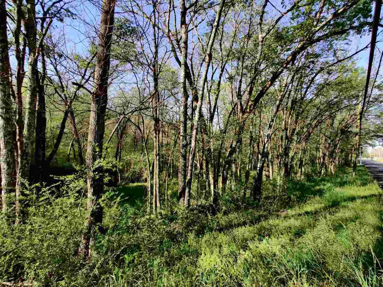 28xx  Malvern  Hot Springs, AR