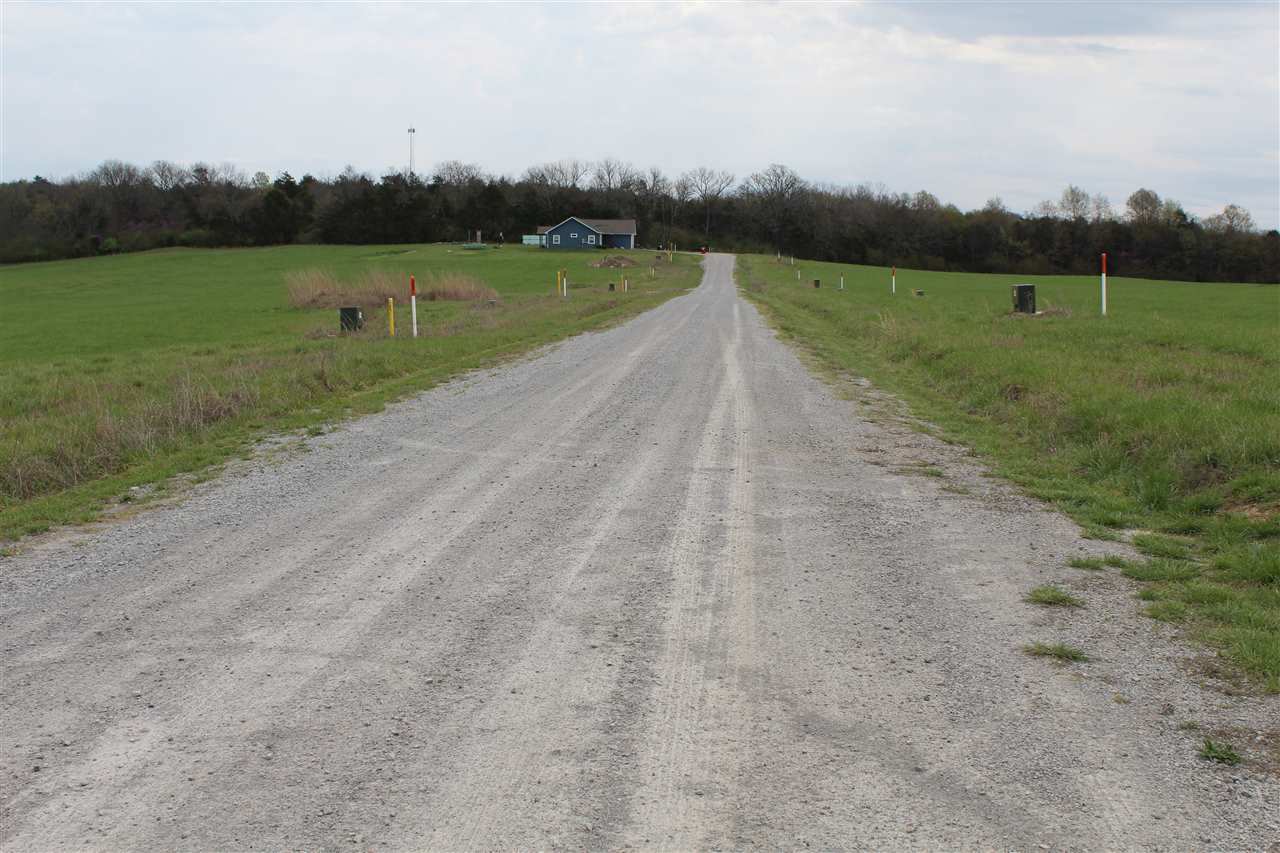   Lydia Lane  Flippin, AR