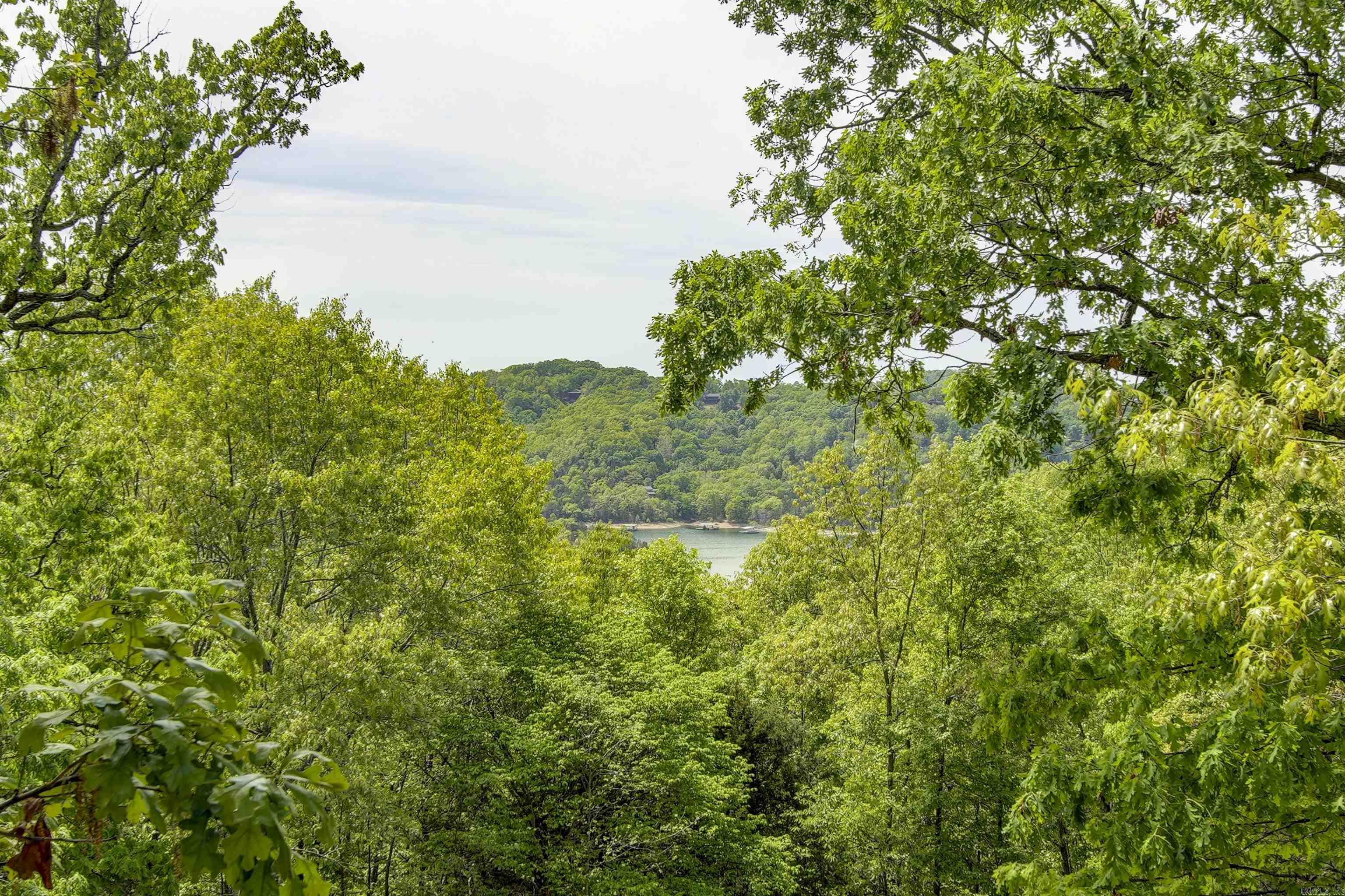 69  Jackson Ridge  Eureka Springs, AR