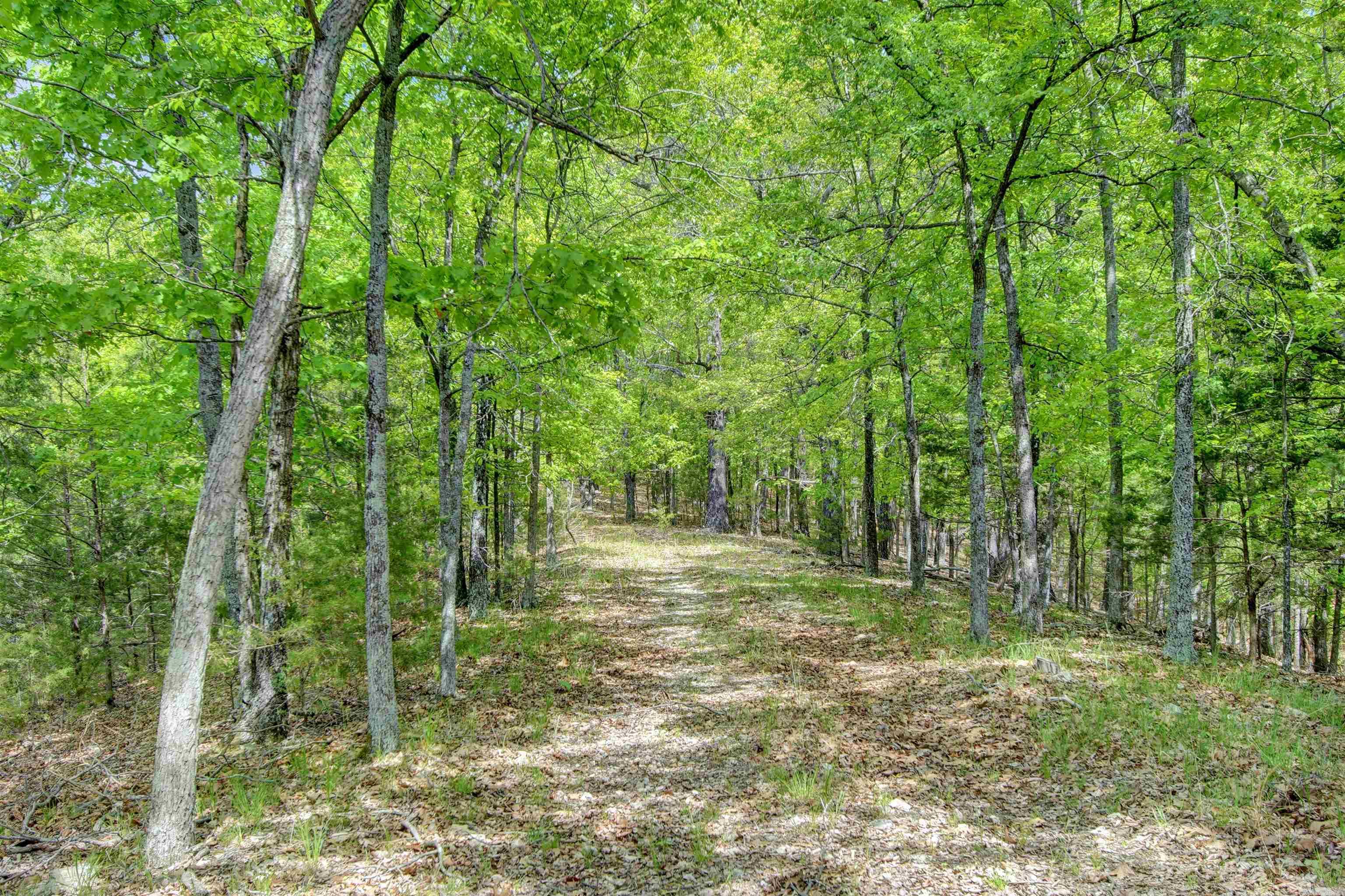 69  Jackson Ridge  Eureka Springs, AR