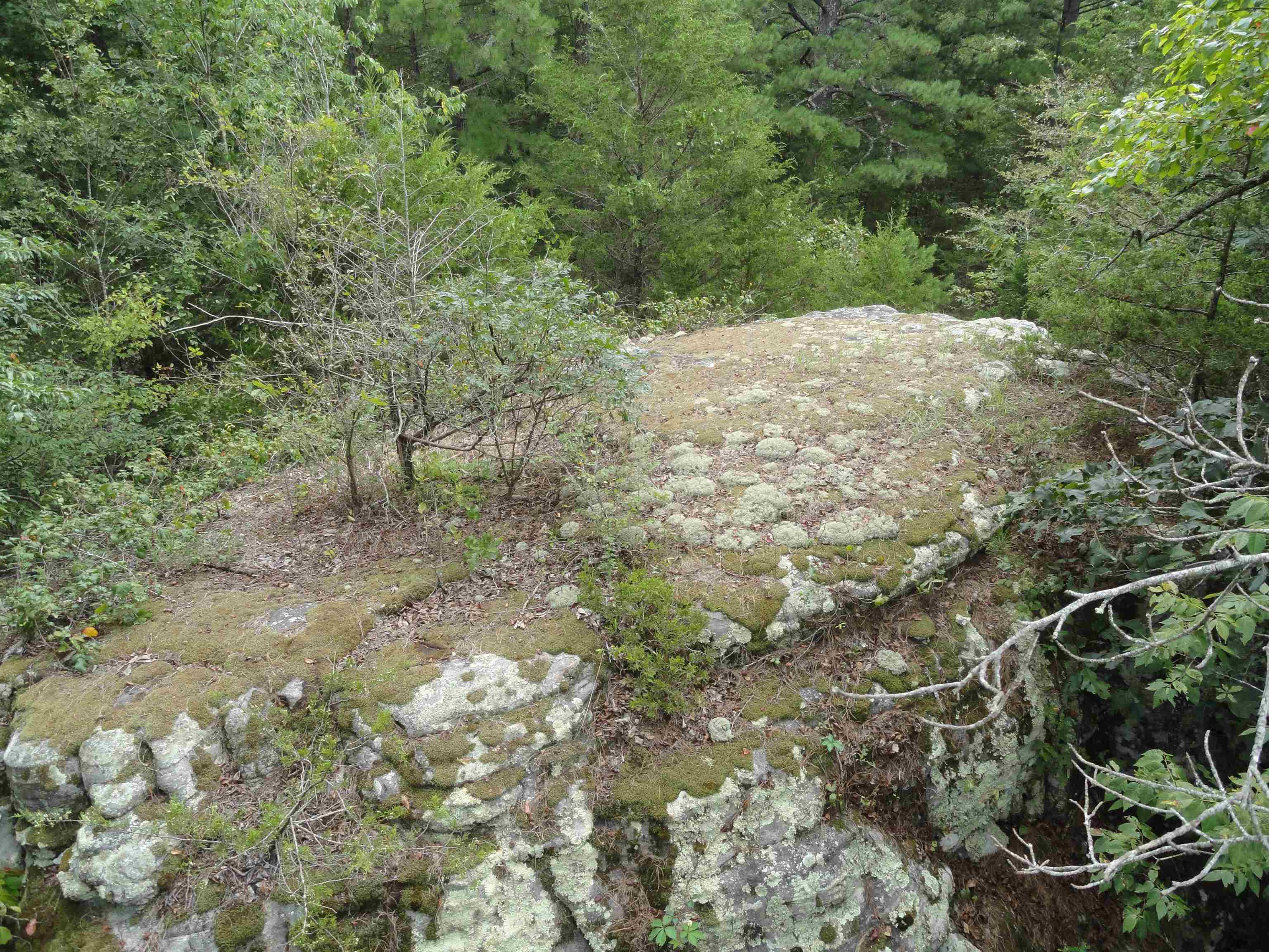000 Baxter CR 128 Calico Rock, AR 72519
