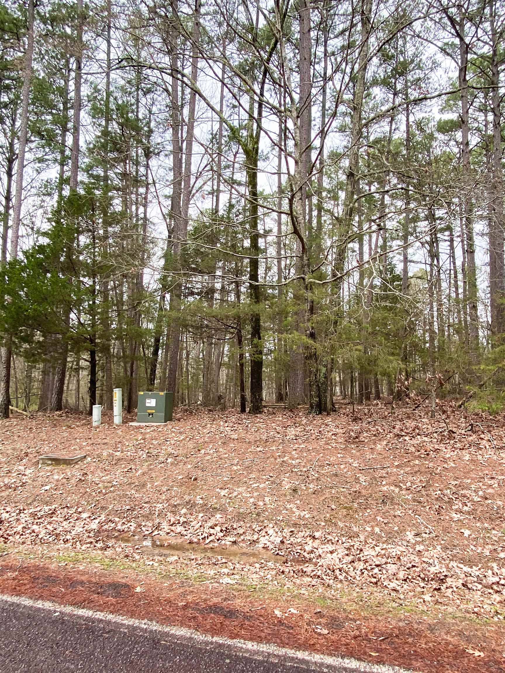 0  Grand Isle  Fairfield Bay, AR