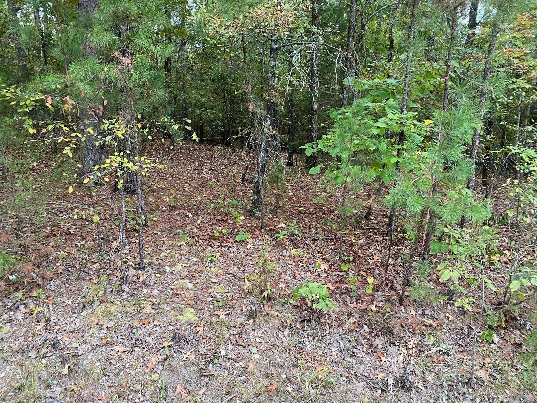 16  Loyola Drive  Hot Springs Village, AR