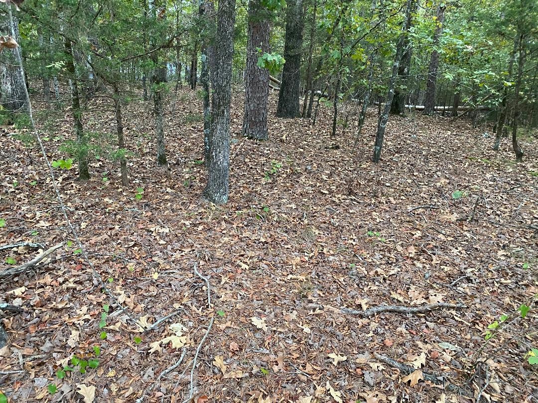 16  Loyola Drive  Hot Springs Village, AR