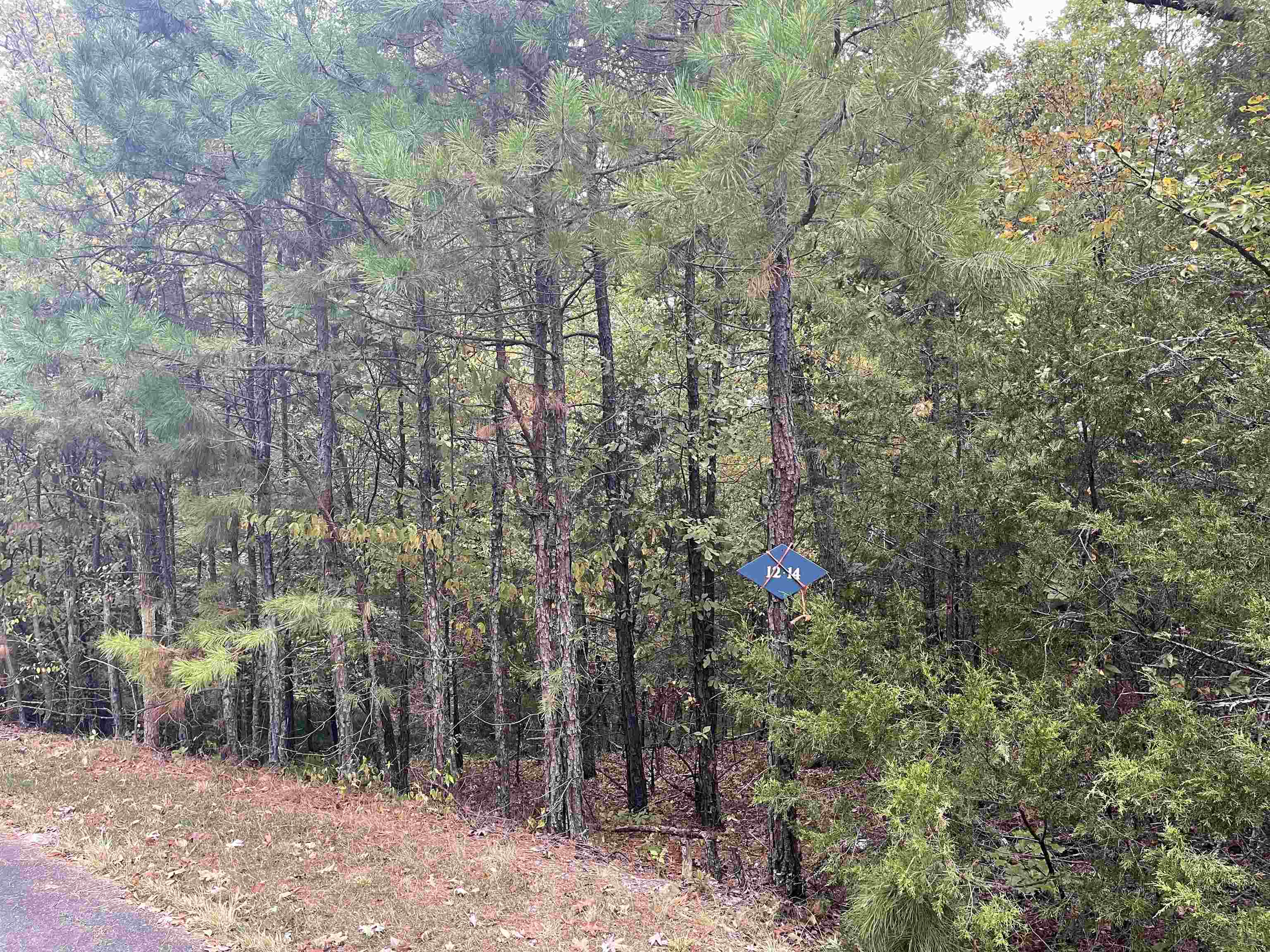 4  Alcazaba  Hot Springs Village, AR