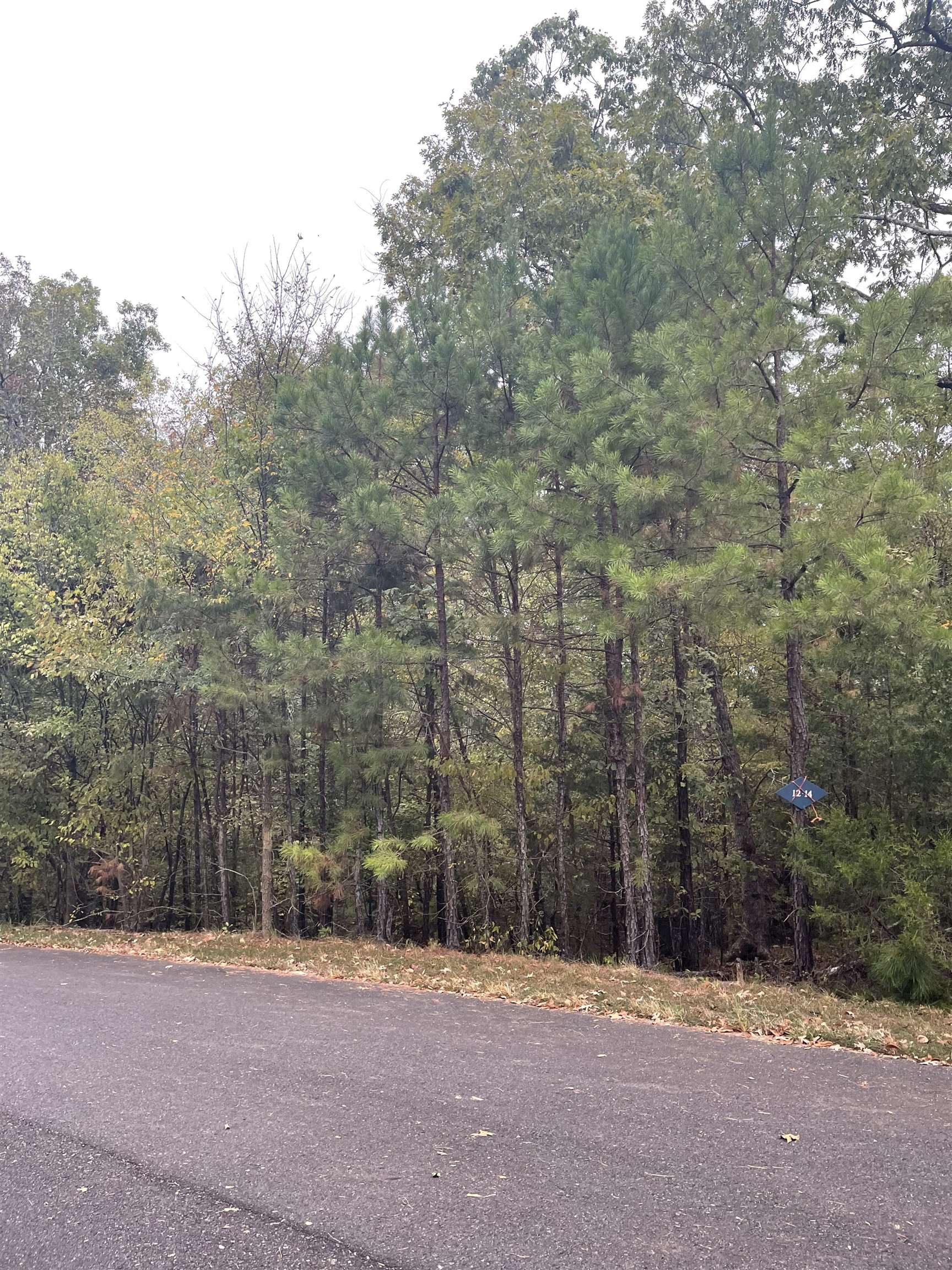 4  Alcazaba  Hot Springs Village, AR