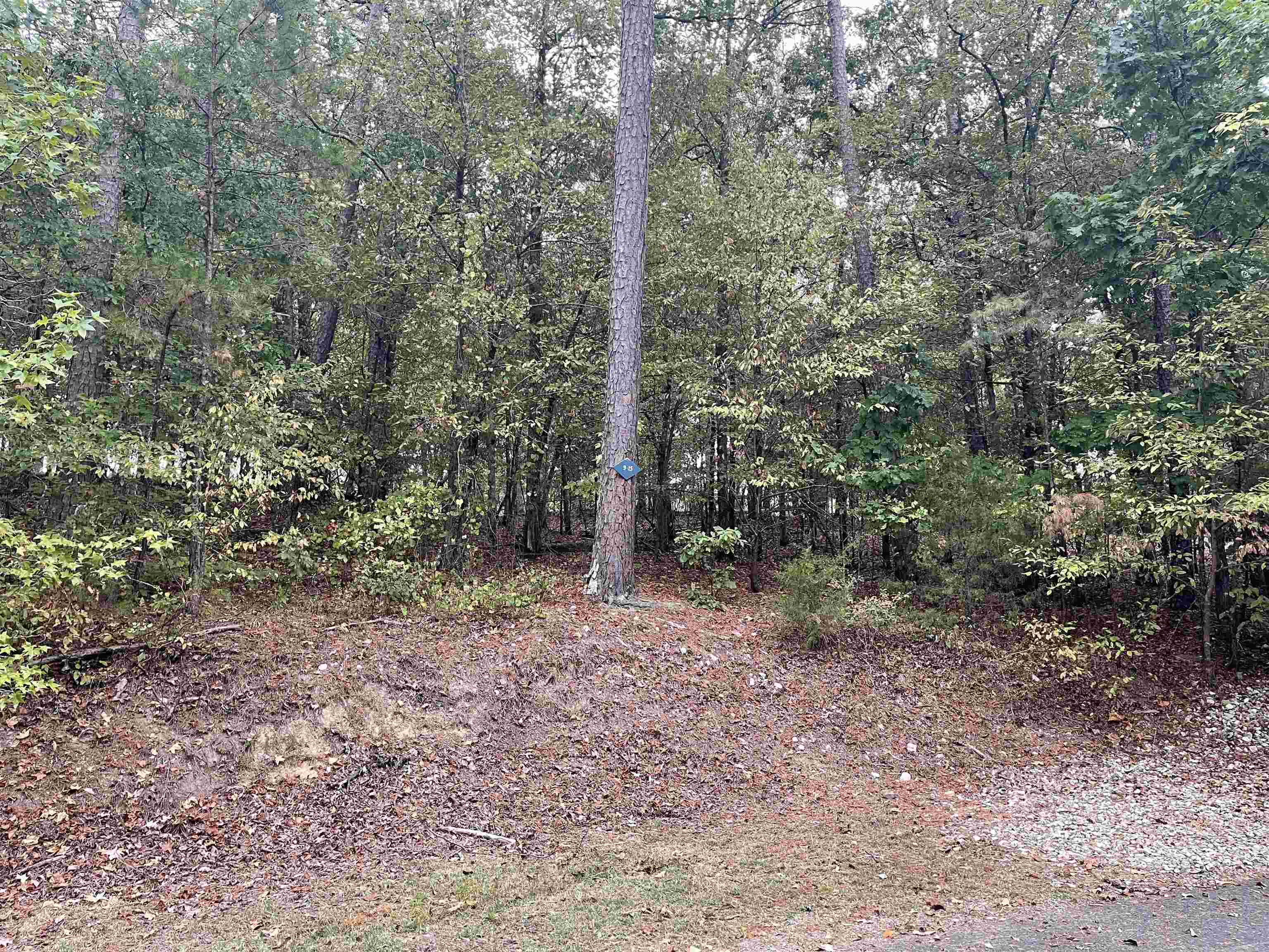35  Darro  Hot Springs Village, AR