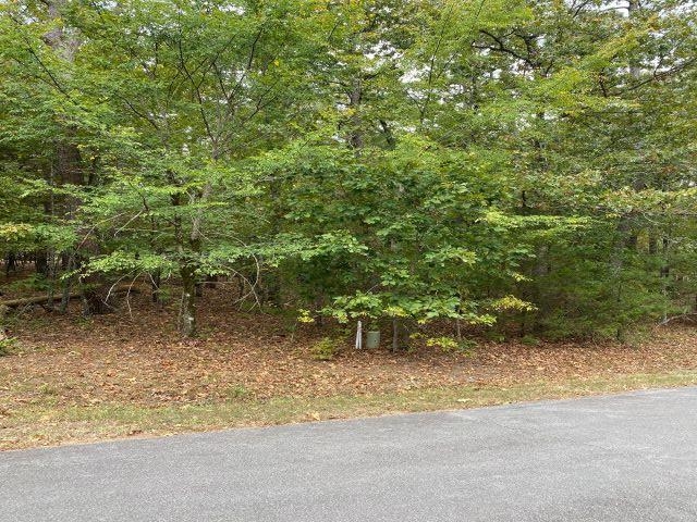 17  Loyola  Hot Springs Village, AR