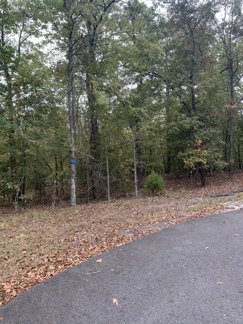 11  Alcazaba  Hot Springs Village, AR