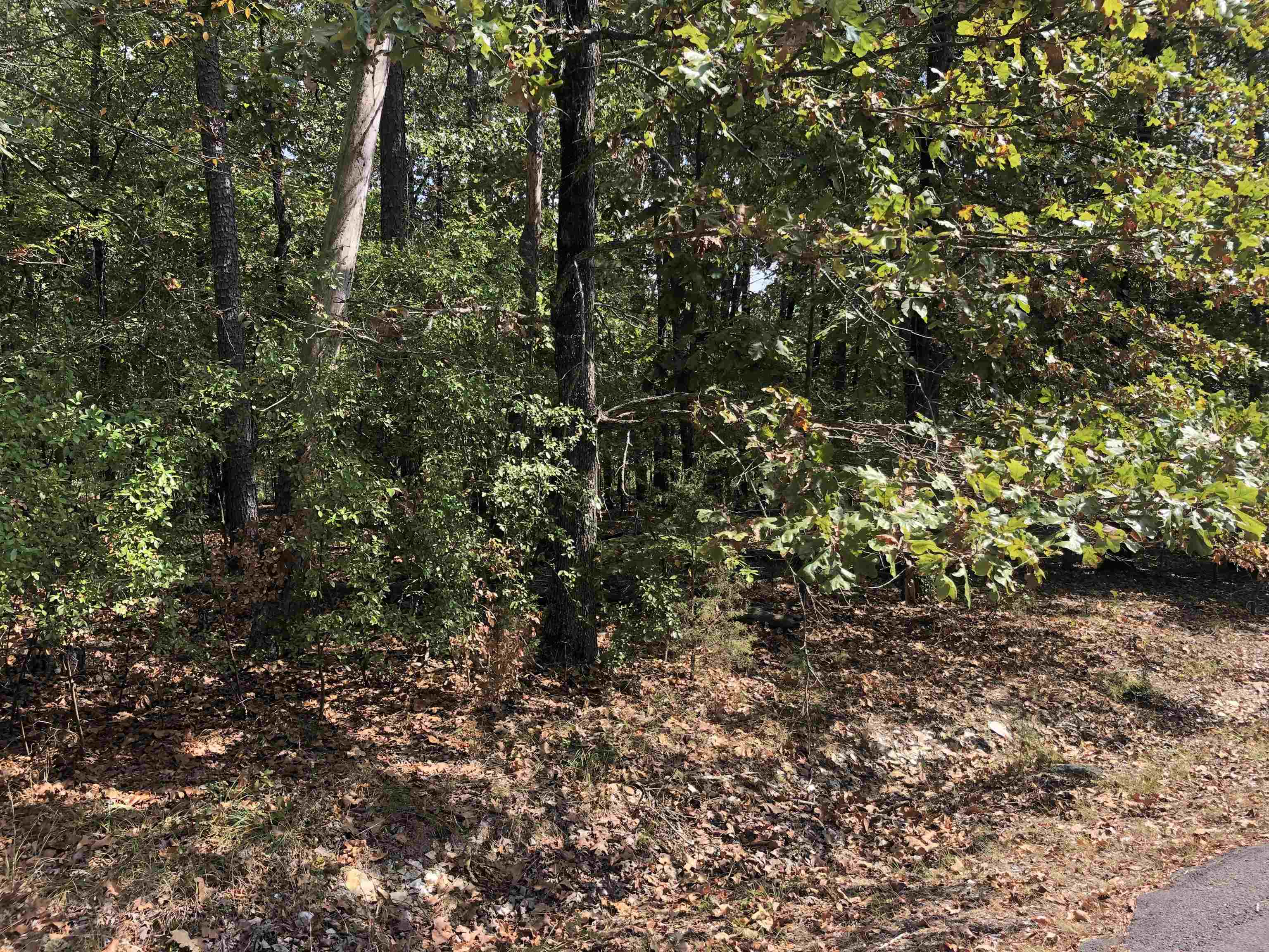 8  Loyola  Hot Springs Village, AR