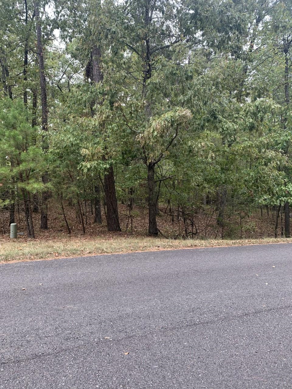 17  Princesa  Hot Springs Village, AR