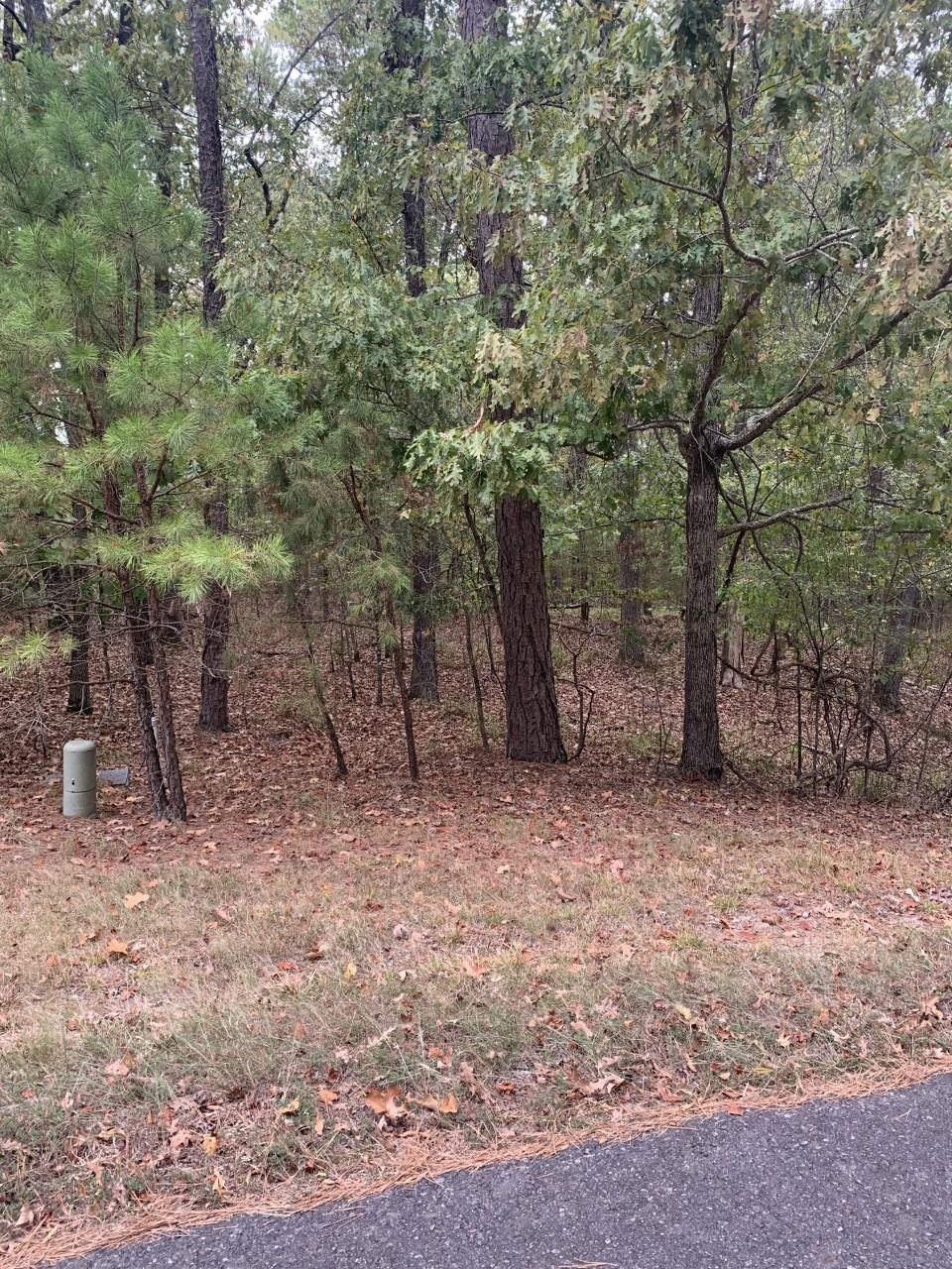 17  Princesa  Hot Springs Village, AR