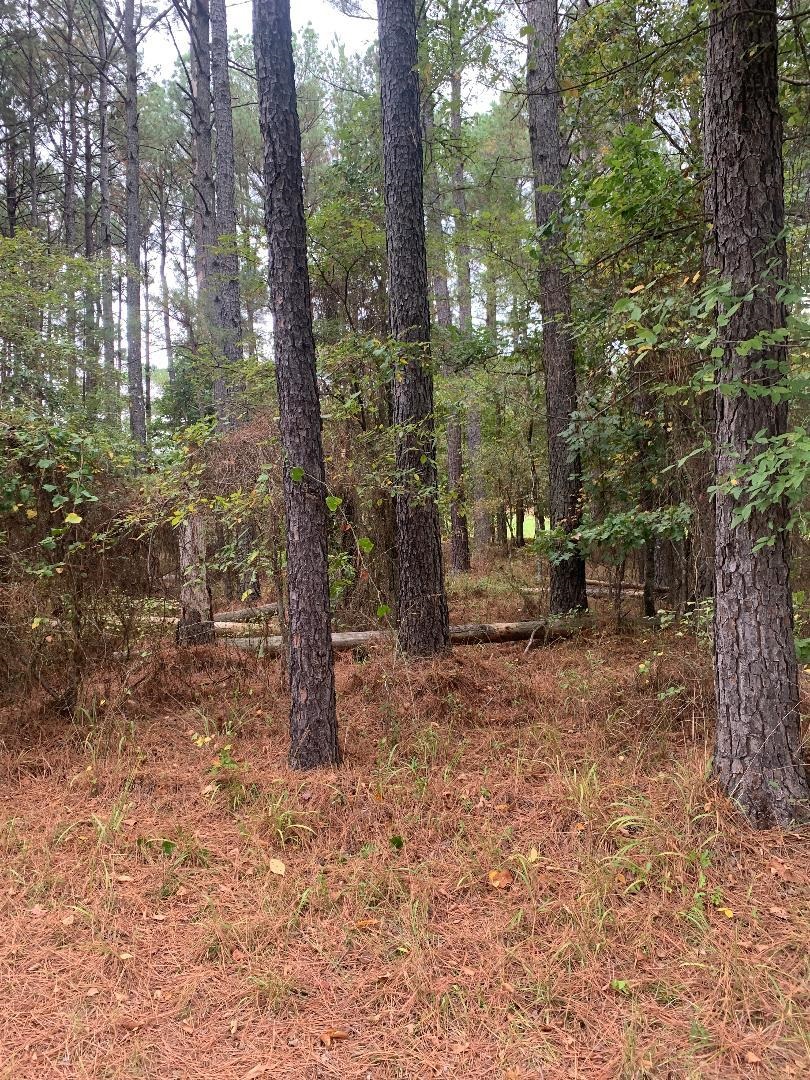10  Poema  Hot Springs Village, AR