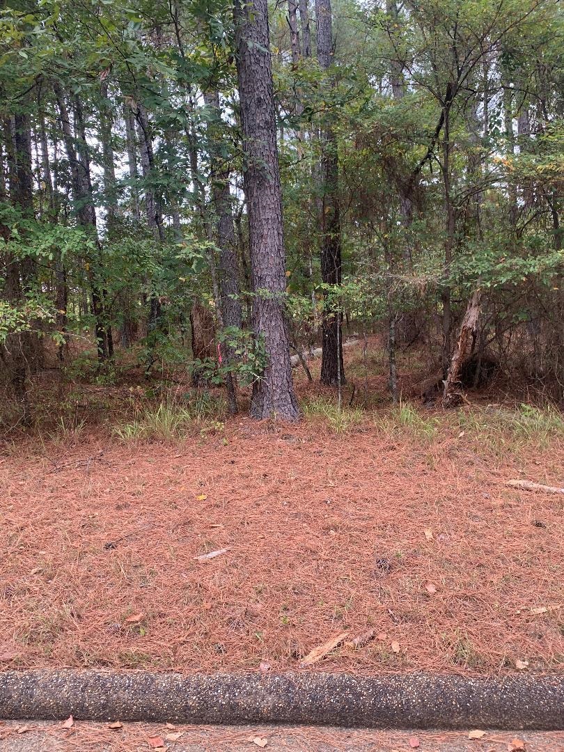 10  Poema  Hot Springs Village, AR