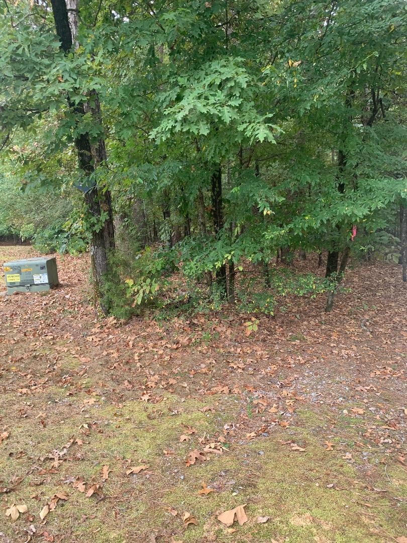 7  Morro  Hot Springs Village, AR