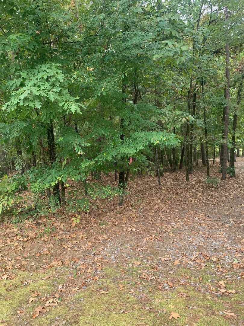 7  Morro  Hot Springs Village, AR